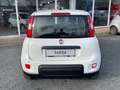 Fiat Panda 1.0 Mild Hybrid Weiß - thumbnail 8