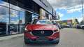 Mazda CX-30 e-Skyactive G140 Homura Aut. Rot - thumbnail 9