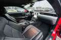 Ford Mustang 5,0 Gt 500 SHELBY PREMIUM TOP Rot - thumbnail 39