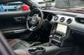 Ford Mustang 5,0 Gt 500 SHELBY PREMIUM TOP Rot - thumbnail 22