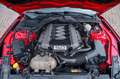 Ford Mustang 5,0 Gt 500 SHELBY PREMIUM TOP Rot - thumbnail 21