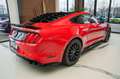 Ford Mustang 5,0 Gt 500 SHELBY PREMIUM TOP Rot - thumbnail 5