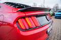 Ford Mustang 5,0 Gt 500 SHELBY PREMIUM TOP Rot - thumbnail 16