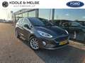 Ford Fiesta EcoBoost 100pk 5dr Titanium, trekhaak, carplay, wi Grijs - thumbnail 1