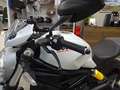 Ducati Monster 797 + Plus TIEF bijela - thumbnail 10