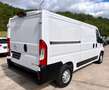 Opel Movano C Kasten Ka L2H1 3,5t Navi Kamera Klima Weiß - thumbnail 5