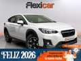 Subaru XV 1.6i Executive Auto Blanc - thumbnail 1