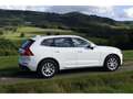 Volvo XC60 D4 AWD Momentum  AHK/IntelliSafe /Pilot As Weiß - thumbnail 2