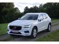 Volvo XC60 D4 AWD Momentum  AHK/IntelliSafe /Pilot As Weiß - thumbnail 11