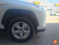 Toyota RAV 4 2.5l 220H Business Blanco - thumbnail 15