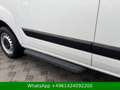 Ford Transit Custom Kombi 320 L1 9 SITZER Blanc - thumbnail 18