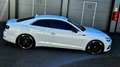 Audi A5 QUATTRO "PERFEKTER ZUSTAND" Weiß - thumbnail 21