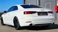 Audi A5 QUATTRO "PERFEKTER ZUSTAND" Weiß - thumbnail 8