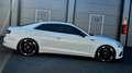 Audi A5 QUATTRO "PERFEKTER ZUSTAND" Weiß - thumbnail 6