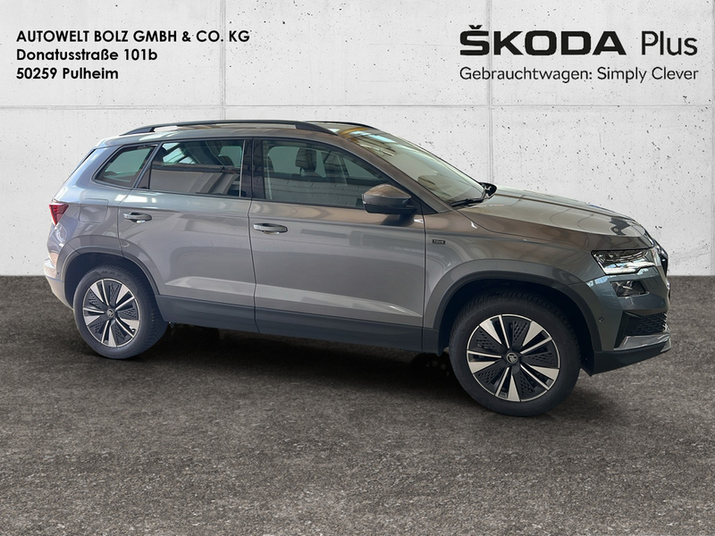 Skoda Karoq 2.0 TDI Tour 4x4 MATRIX-LED AHK 360° — photo 8