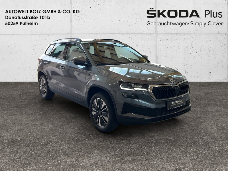 Skoda Karoq 2.0 TDI Tour 4x4 MATRIX-LED AHK 360° — photo 3
