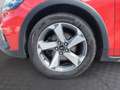 Ford Focus Traveller 1.5 EcoBlue Active X Rot - thumbnail 14