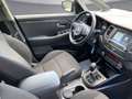 Kia Carens Gold 1,7 CRDi Blau - thumbnail 11