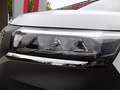 Nissan Townstar Kasten N-Connecta L1 2,0t 131PS 8-fach N-Connecta Weiß - thumbnail 8