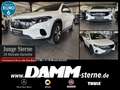 Mercedes-Benz EQA 300 EQA 300 4M Progr. Adv./Pano/TWA/WDG/AHK/ + Flex Wit - thumbnail 1