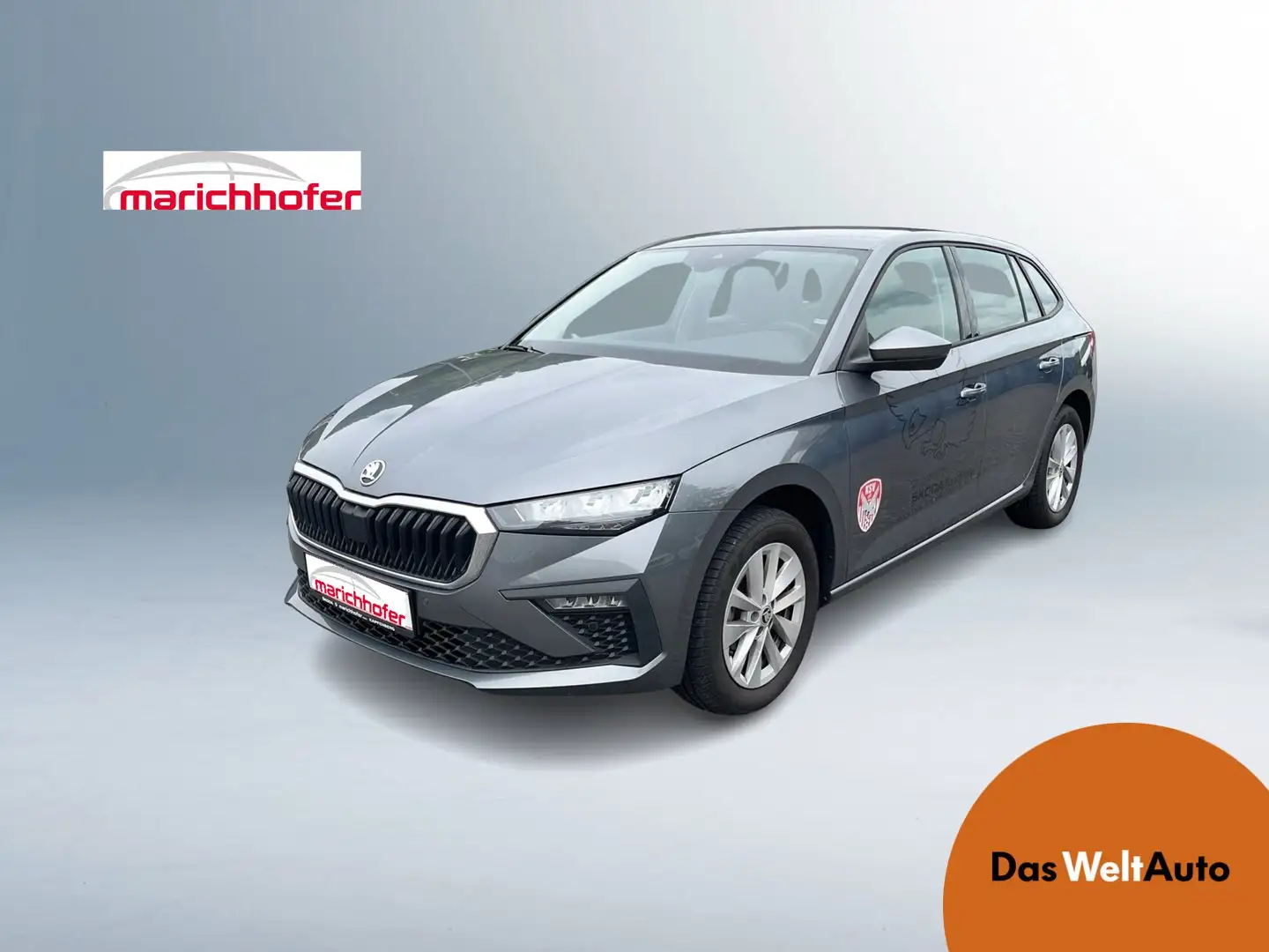 Skoda Scala Selection TSI Grau - 1