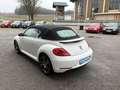 Volkswagen Beetle Cabrio 1,2 TSI BMT Design *KETTE NEU*TOP-ZUSTAND* Weiß - thumbnail 5