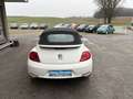 Volkswagen Beetle Cabrio 1,2 TSI BMT Design *KETTE NEU*TOP-ZUSTAND* Weiß - thumbnail 6