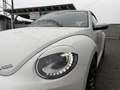 Volkswagen Beetle Cabrio 1,2 TSI BMT Design *KETTE NEU*TOP-ZUSTAND* Weiß - thumbnail 4