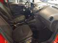 Ford Transit Courier 1.5 tdci 75cv Trend DUE TAGLIANDI INCLUSI Rosso - thumbnail 13
