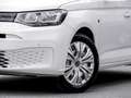 Volkswagen Caddy Maxi 2.0 TDI DSG Navi Tel. DAB+ ACC Bianco - thumbnail 5