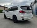 BMW X5 X5 xdrive30d Experience 258cv auto Bianco - thumbnail 4