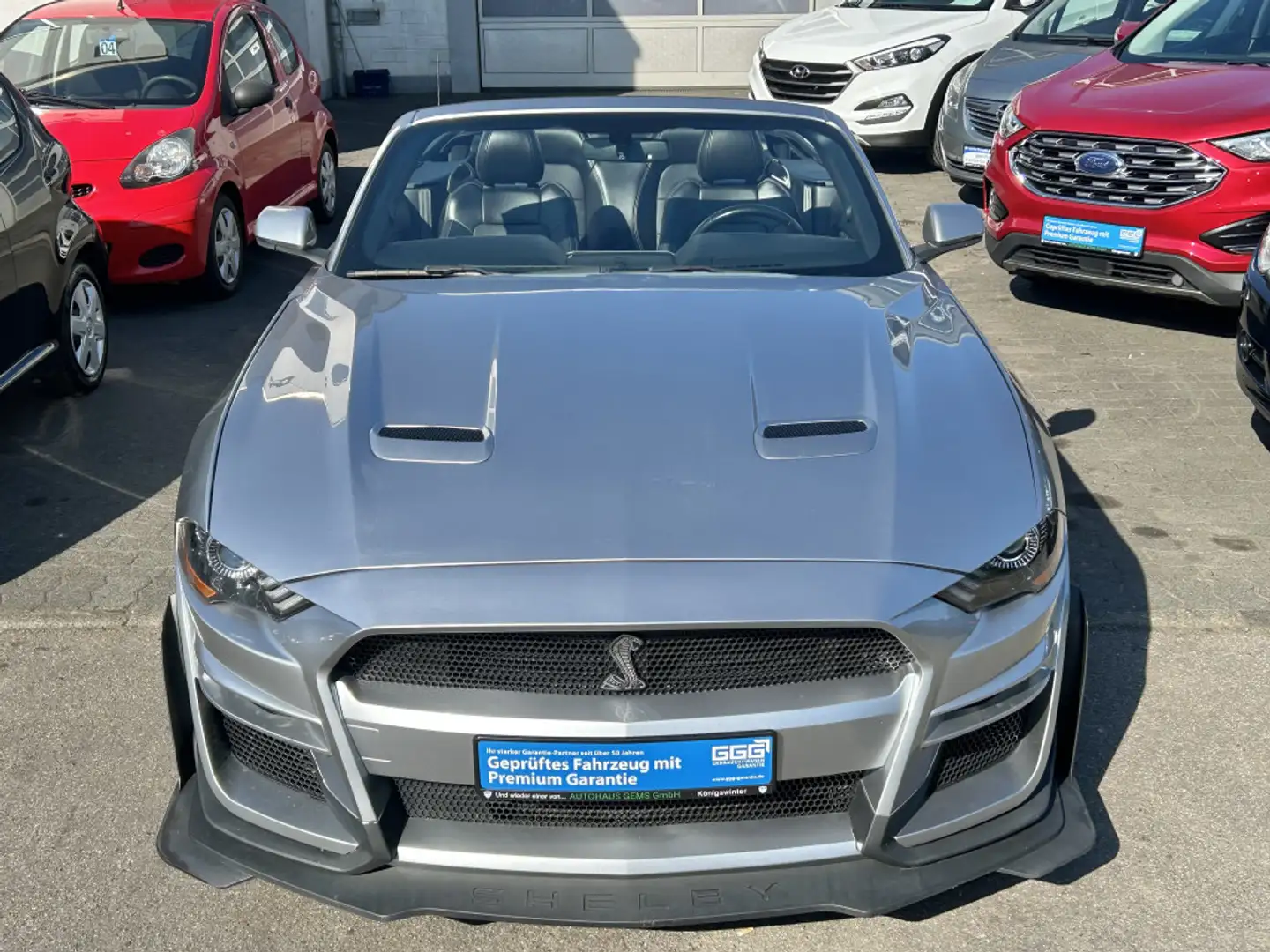 Ford Mustang Shelby Convertible Leder LED CarPlay Grau - 2