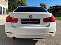 BMW 320 320d Auto F30 | PREZZO PROMO Bianco - thumbnail 5
