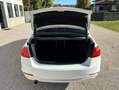 BMW 320 320d Auto F30 | PREZZO PROMO Bianco - thumbnail 6