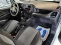 Fiat Doblo 1.6 MJT 105CV Cassonato Work-Up - IVA ESPOSTA Bianco - thumbnail 15