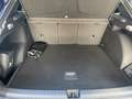 CUPRA Terramar 1.5 eTSI 7 DSG HEAD UP NAVI KAMERA  EDGE Blau - thumbnail 14
