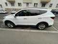 Hyundai SANTA FE Santa Fe 2,2 CRDi 4WD Start-Stopp Premium Premium Weiß - thumbnail 9