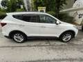 Hyundai SANTA FE Santa Fe 2,2 CRDi 4WD Start-Stopp Premium Premium Weiß - thumbnail 8