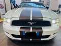 Ford Mustang V6 aut. GT KW 224 Blanc - thumbnail 2