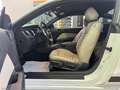 Ford Mustang V6 aut. GT KW 224 Blanc - thumbnail 23