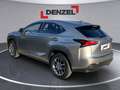 Lexus NX 300h Lexus NX 300h Limited Hybrid Grau - thumbnail 3