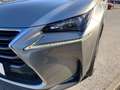 Lexus NX 300h Lexus NX 300h Limited Hybrid Grau - thumbnail 7