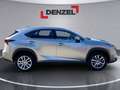 Lexus NX 300h Lexus NX 300h Limited Hybrid Grau - thumbnail 5