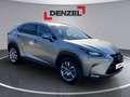 Lexus NX 300h Lexus NX 300h Limited Hybrid Grau - thumbnail 6