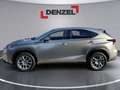Lexus NX 300h Lexus NX 300h Limited Hybrid Grau - thumbnail 2