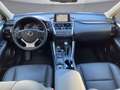 Lexus NX 300h Lexus NX 300h Limited Hybrid Grau - thumbnail 9