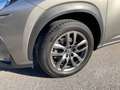 Lexus NX 300h Lexus NX 300h Limited Hybrid Grau - thumbnail 8