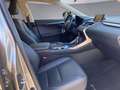 Lexus NX 300h Lexus NX 300h Limited Hybrid Grau - thumbnail 11