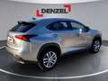 Lexus NX 300h Lexus NX 300h Limited Hybrid Grau - thumbnail 4