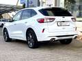 Ford Kuga 2.5 Duratec PHEV ST-Line Blanc - thumbnail 3